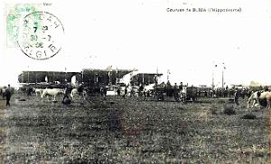 Blida - Hippodrome - Courses - 1906